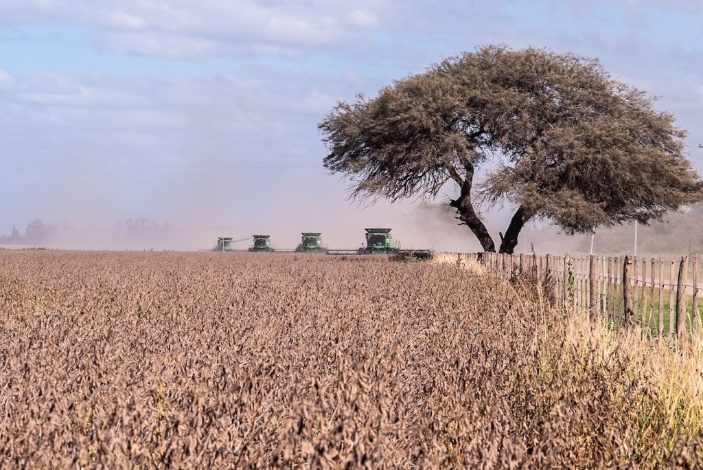 Uso de tecnologías agrícolas avanzadas en Tucumán, Argentina