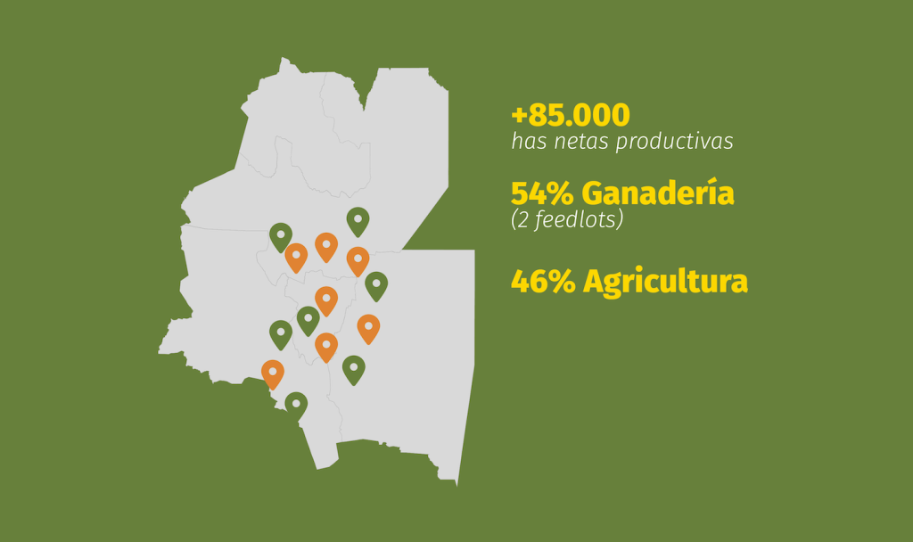 Descubre las +85.000 hectáreas productivas de Agroganadera del NOA en Argentina.