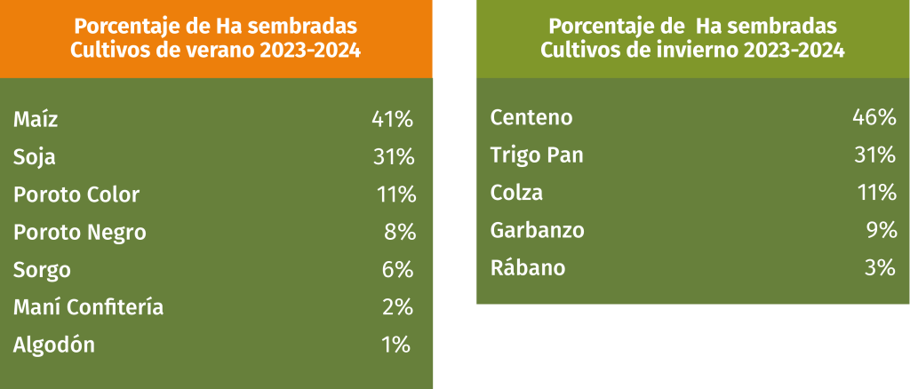 Distribución de cultivos 2023-2024 en las fincas de Agroganadera del NOA en Tucumán, Argentina.