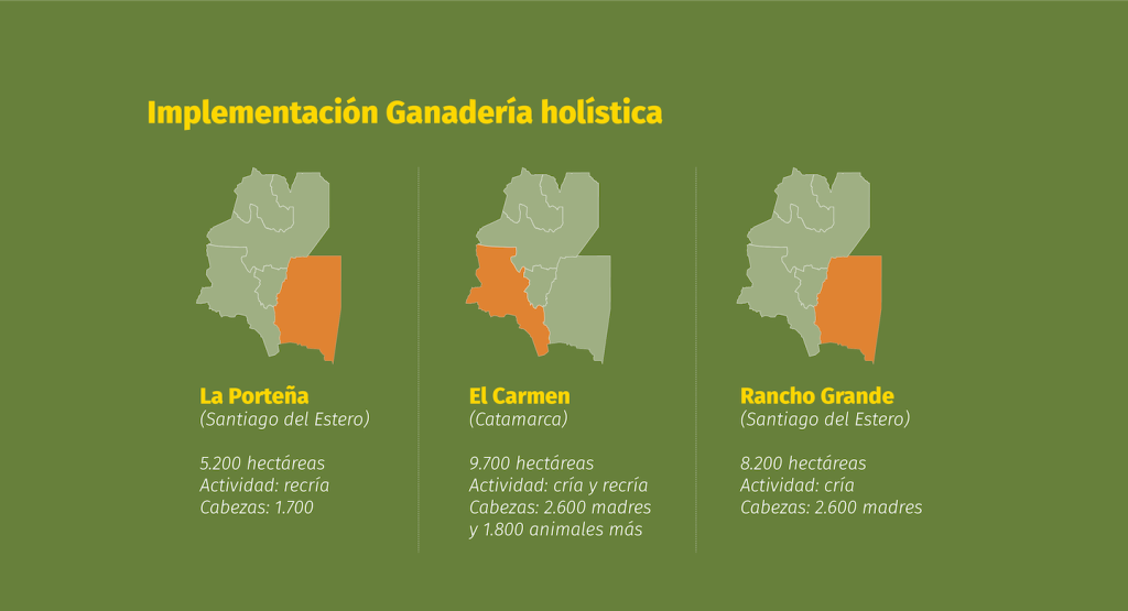 Holistic livestock farming in Argentina: Discover Agroganadera del NOA’s sustainable cattle operations across Santiago del Estero and Catamarca