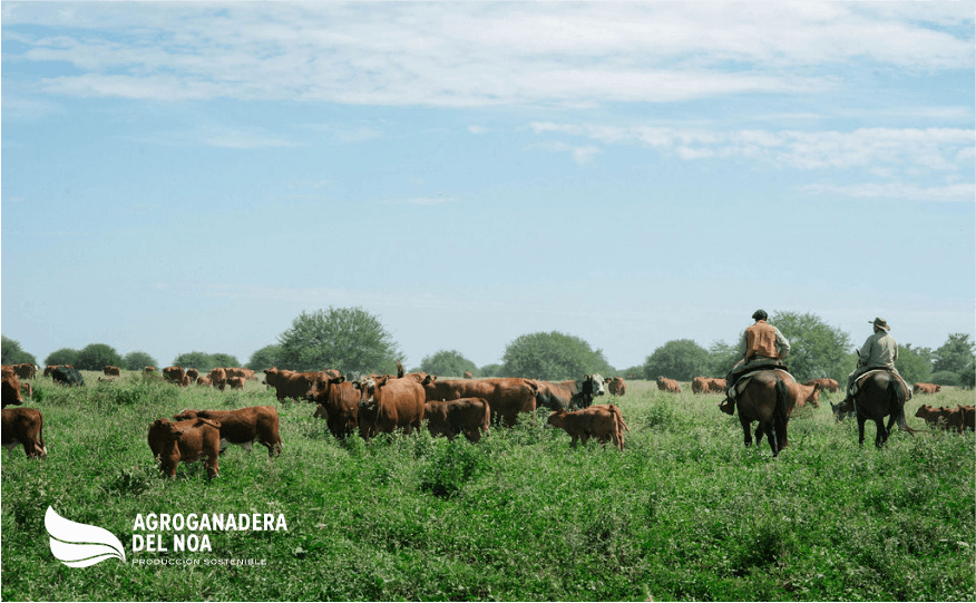AGROGANADERA DEL NOA S.A