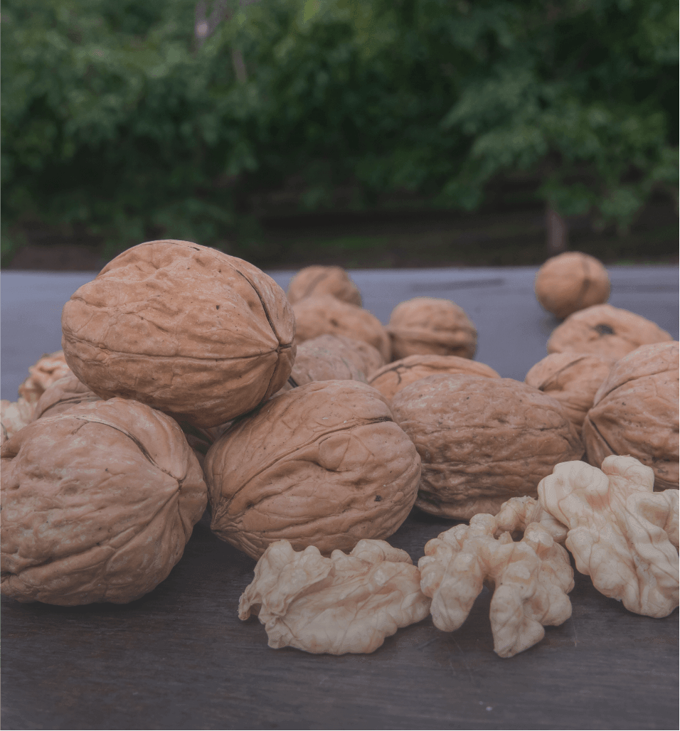Nueces de Catamarca