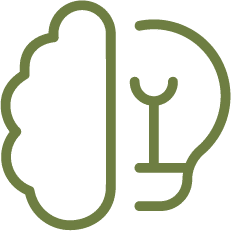 FORMACION Y DESARROLLO