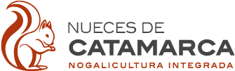 Nueces de Catamarca