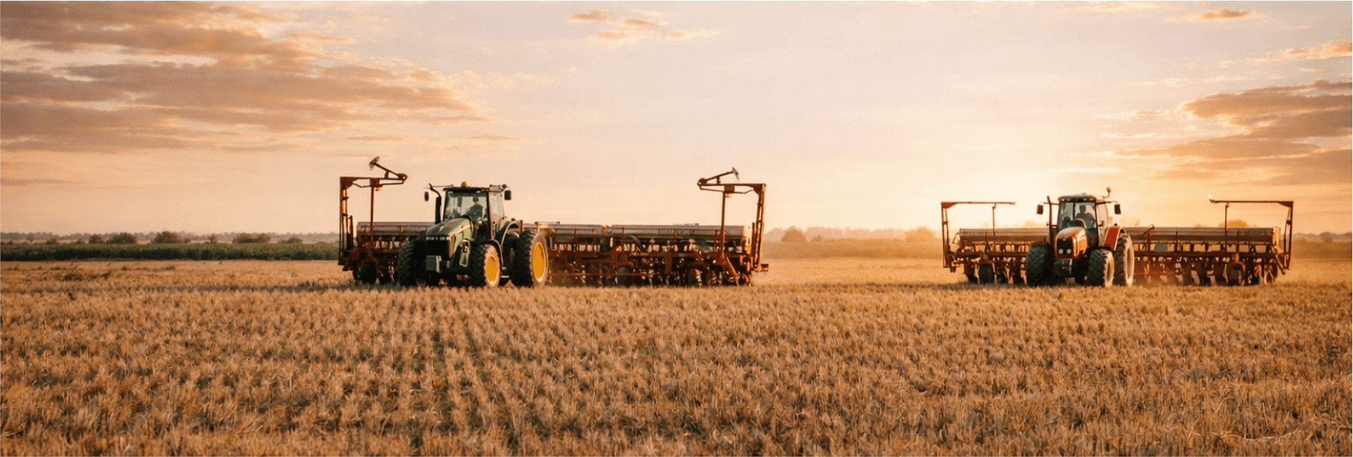 NUESTRA IDENTIDAD - GRUPO LUCCI