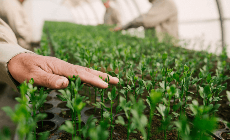 NUESTRA VISION Y VISION - GRUPO LUCCI