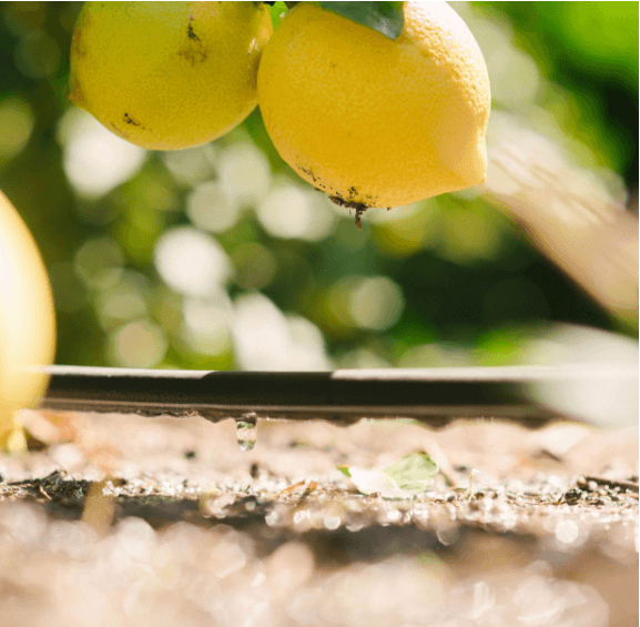 PRODUCCION RESPONSABLE Y CUIDADO DE LOS RECURSOS