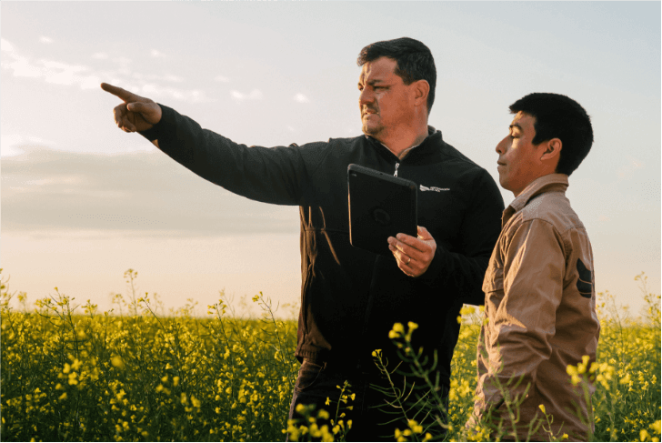 PROGRAMA DE JOVENES PROFESIONALES