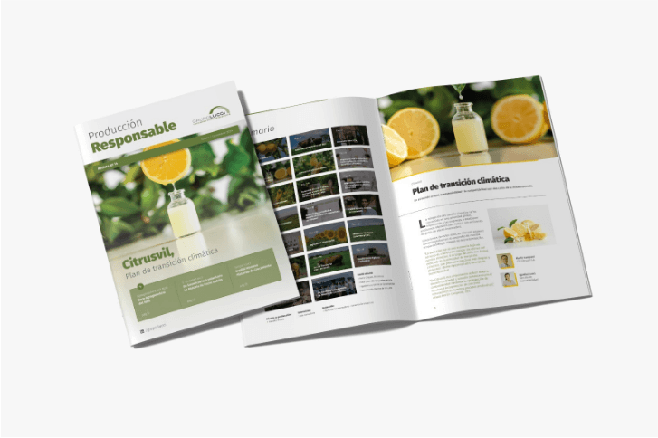 PUBLICACIONES INSTITUCIONALES