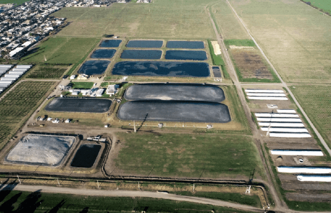 SUSTENTABILIDAD - GRUPO LUCCI