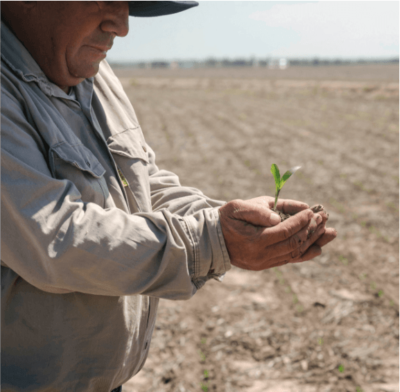 VISION A LARGO PLAZO