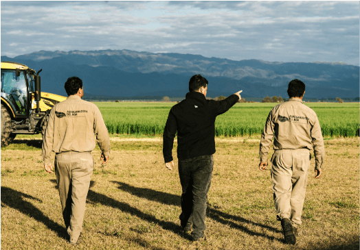 GESTION DE GOBERNANZA