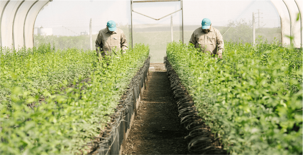 GESTION SUSTENTABLE - GRUPO LUCCI