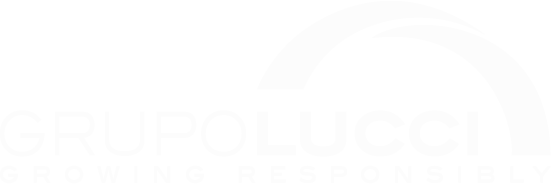 Grupo Lucci