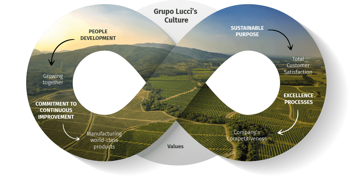 OPERATIONAL EXCELLENCE - GRUPO LUCCI