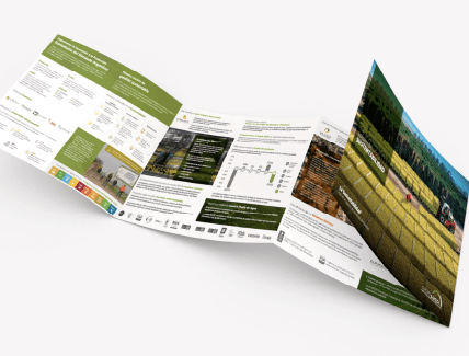 REPORTE DE SUSTENTABILIDAD 2020