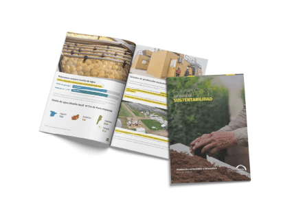 REPORTE DE SUSTENTABILIDAD 2021